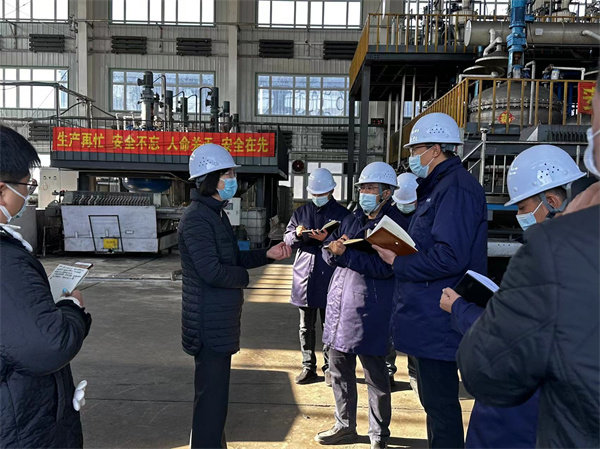 11.03黑龍江省委常委、常務副省長沈瑩來公司視察(圖1)