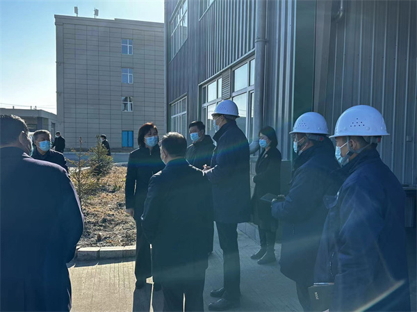 11.03黑龍江省委常委、常務副省長沈瑩來公司視察(圖2)